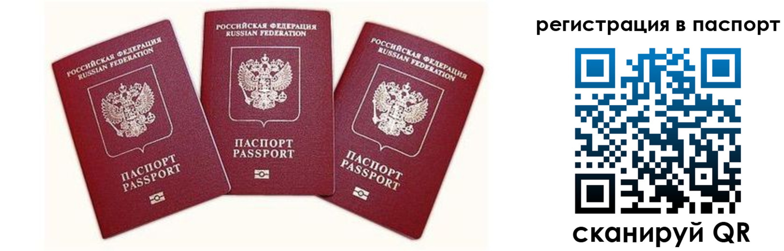 прописка законно в Выборге